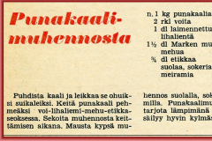 Punakaalimuhennosta