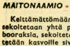 Maitonaamio normaalille iholle