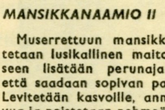 Mansikkanaamio II, normaalille iholle